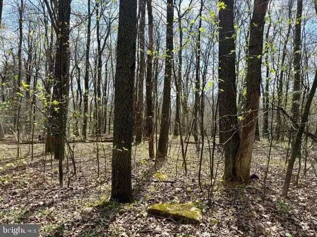 Lot 13 Timerman Rd, Claysburg, PA 16625 - #2
