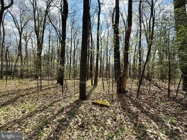 Lot 13 Timerman Rd, Claysburg, PA 16625 - #3