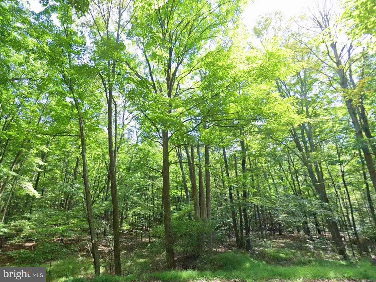 00 Juniata Valley, Hollidaysburg, PA 16648 - #1