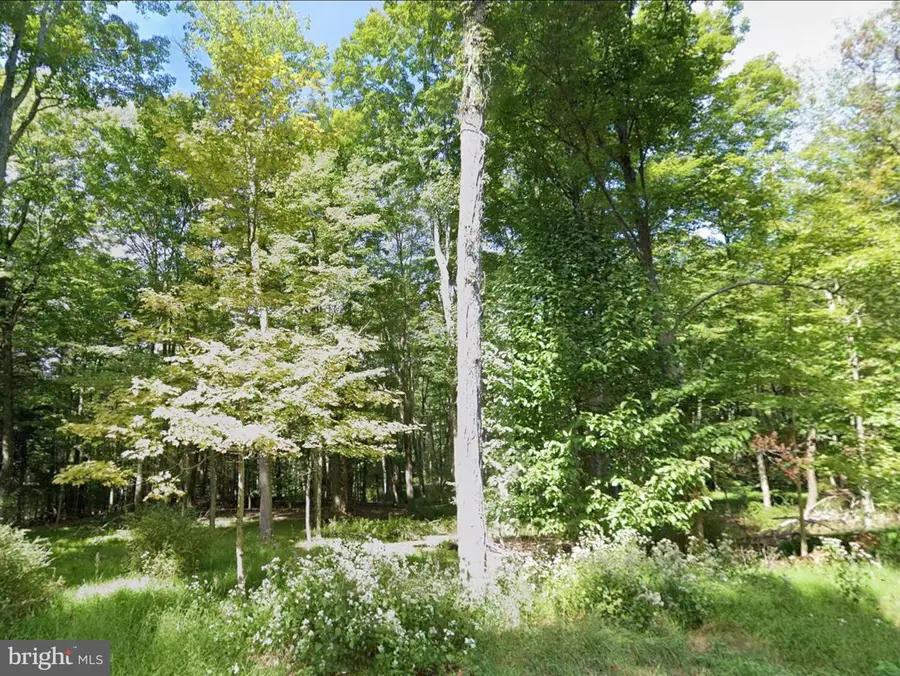 00 Juniata Valley, Hollidaysburg, PA 16648 - #3
