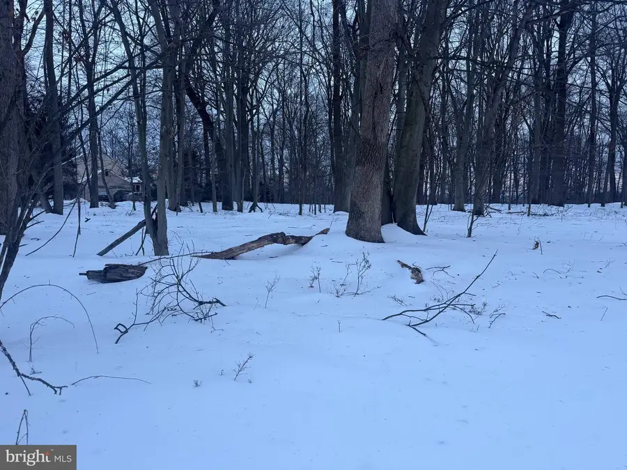 2918 Snake Hill Rd, Doylestown, PA 18902 - #3