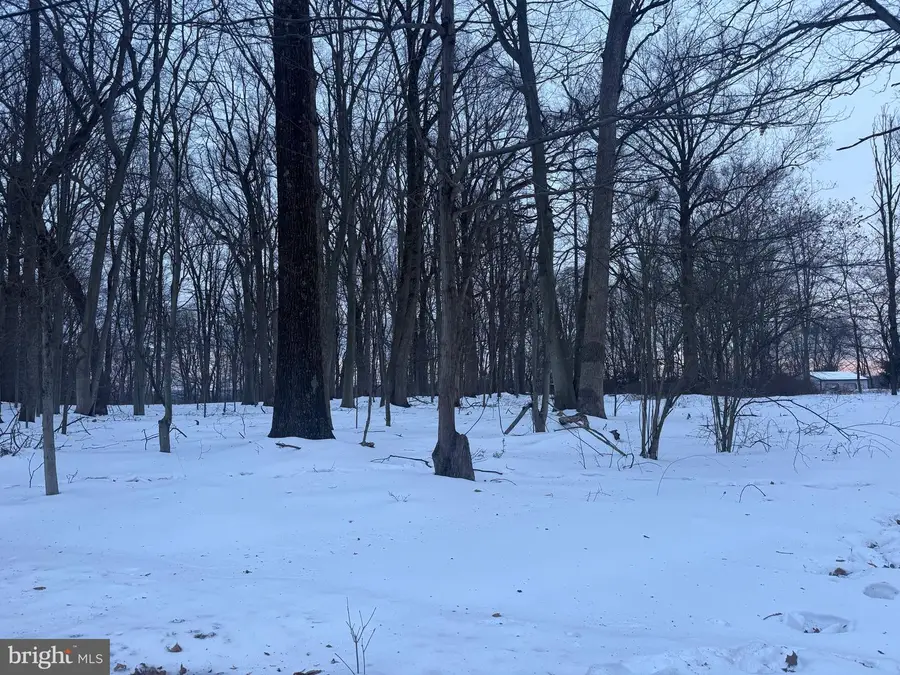 2918 Snake Hill Rd, Doylestown, PA 18902 - #3