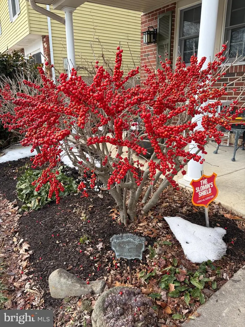 4617 Magnolia Ave, Bristol, PA 19007 - #2