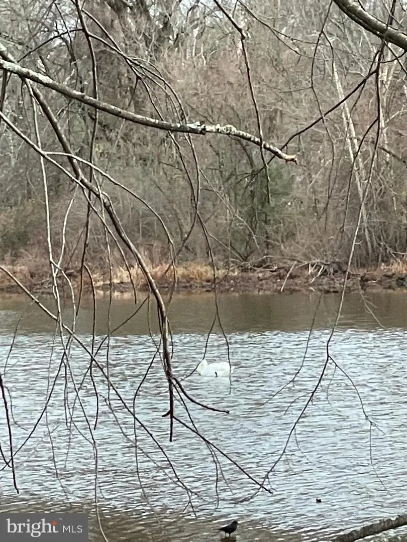 1112 General Saint Claire Rd, Washington Crossing, PA 18977 - #3