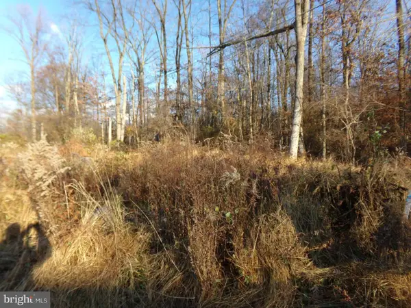 0 Center Hill Rd, FERNDALE, PA 18921