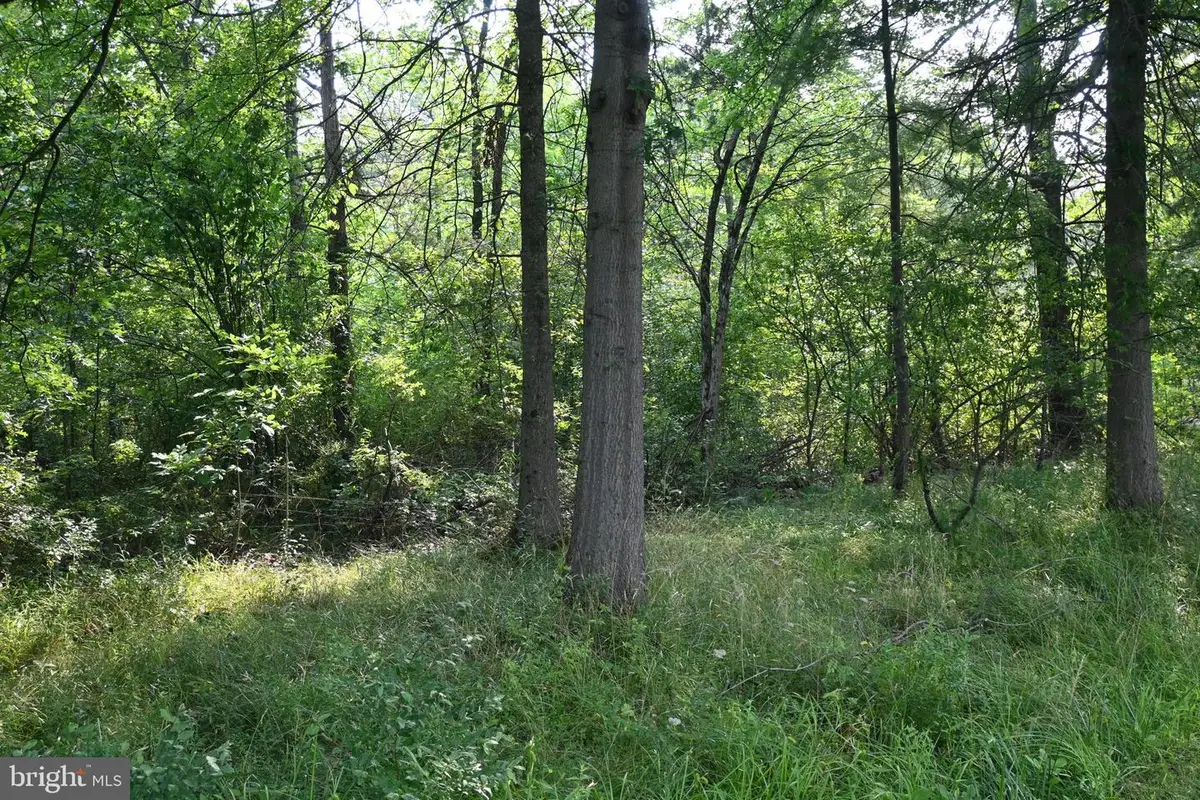 455 East Paletown Road E Paletown Road Rd, Quakertown, PA 18951 - #1