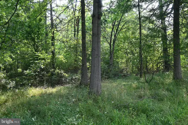 455 East Paletown Road E Paletown Road Rd, QUAKERTOWN, PA 18951