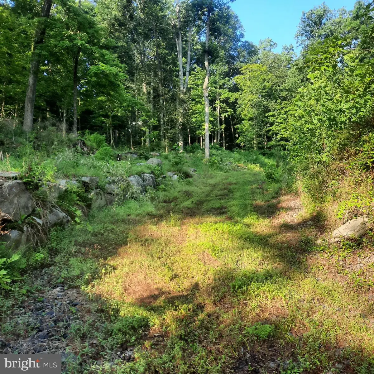 5968 State Park Rd, Pipersville, PA 18947 - #1