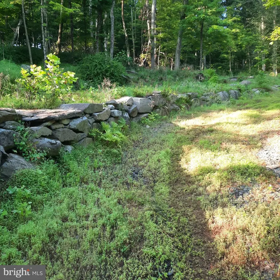5968 State Park Rd, Pipersville, PA 18947 - #2