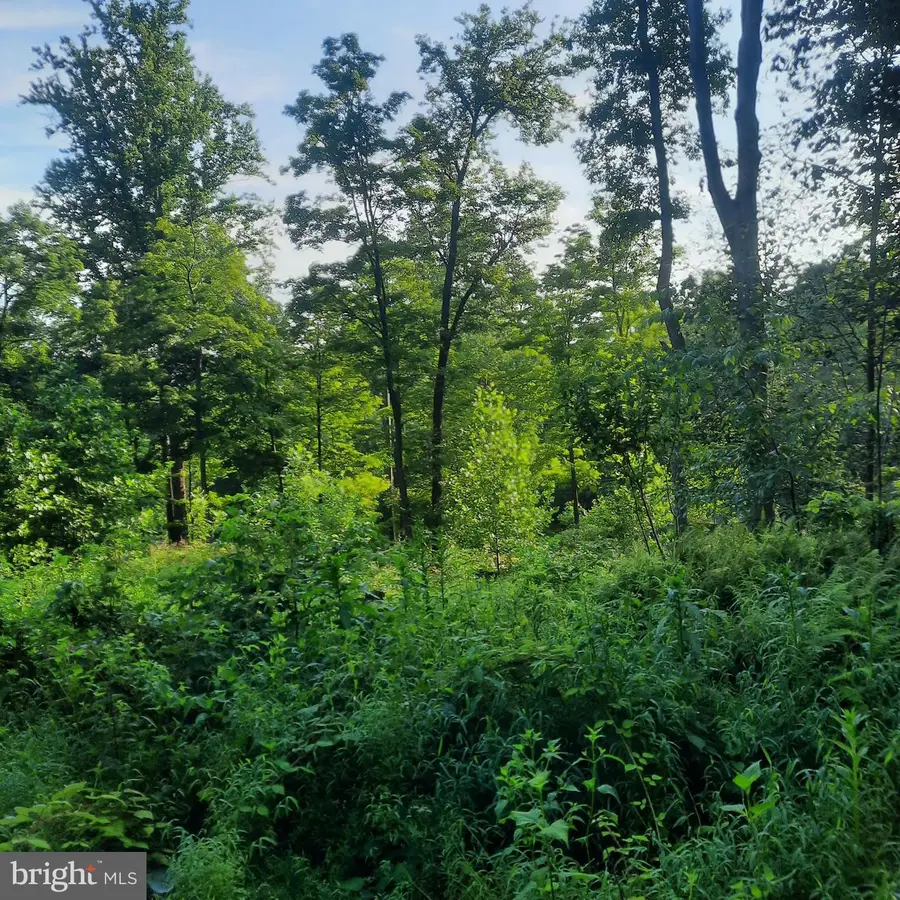 5968 State Park Rd, Pipersville, PA 18947 - #3
