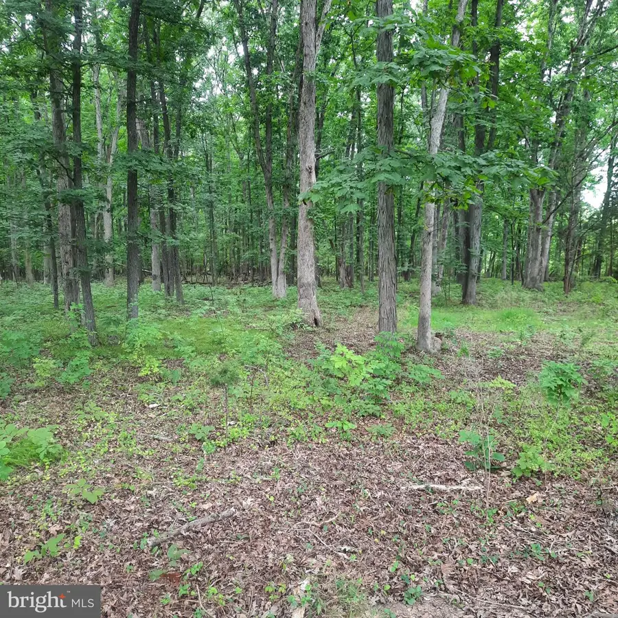 20 Iron Bridge Rd, Pipersville, PA 18947 - #2