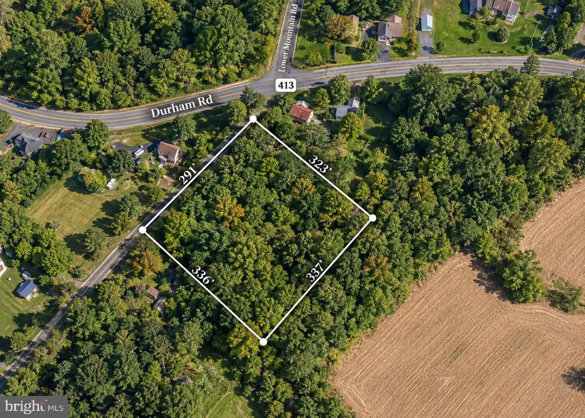 4575 Lower Mountain Rd, Furlong, PA 18925 - #1