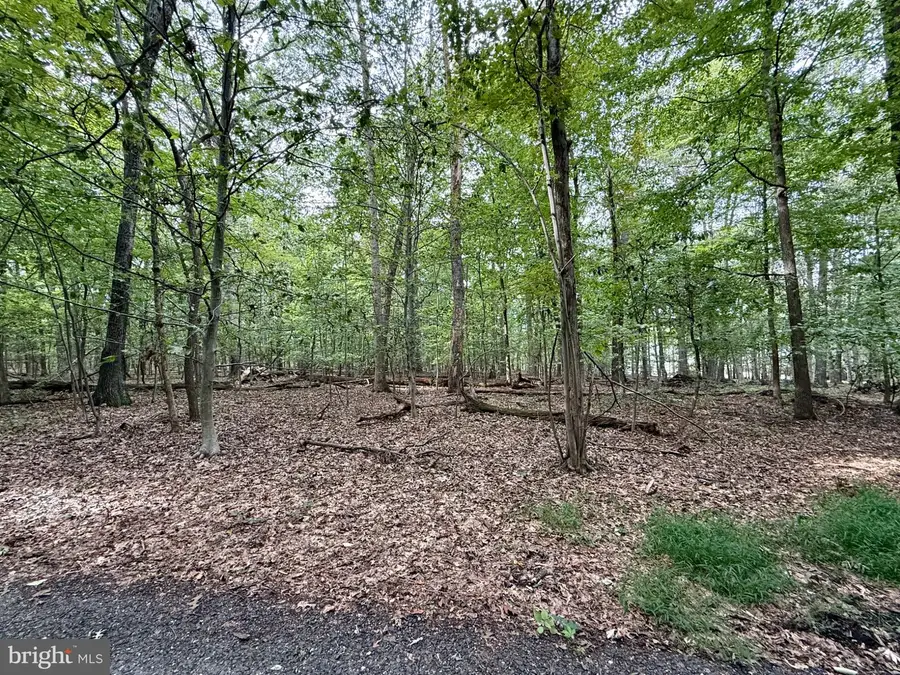 Mountain Top W, New Hope, PA 18938 - #3