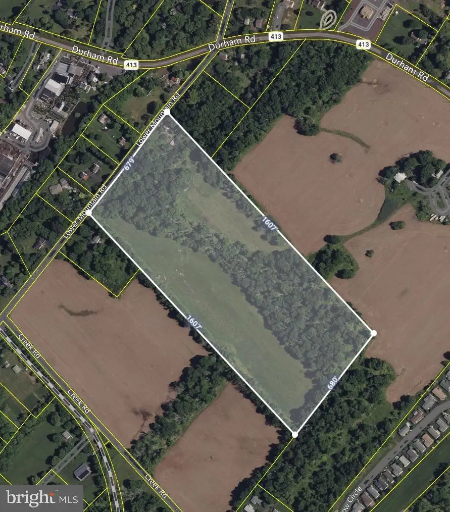 4549 Lower Mountain Rd, Furlong, PA 18925 - #1