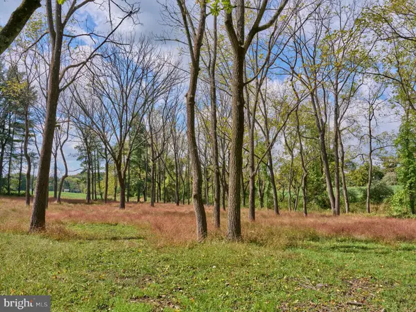 6321 Saw Mill Rd, DOYLESTOWN, PA 18902