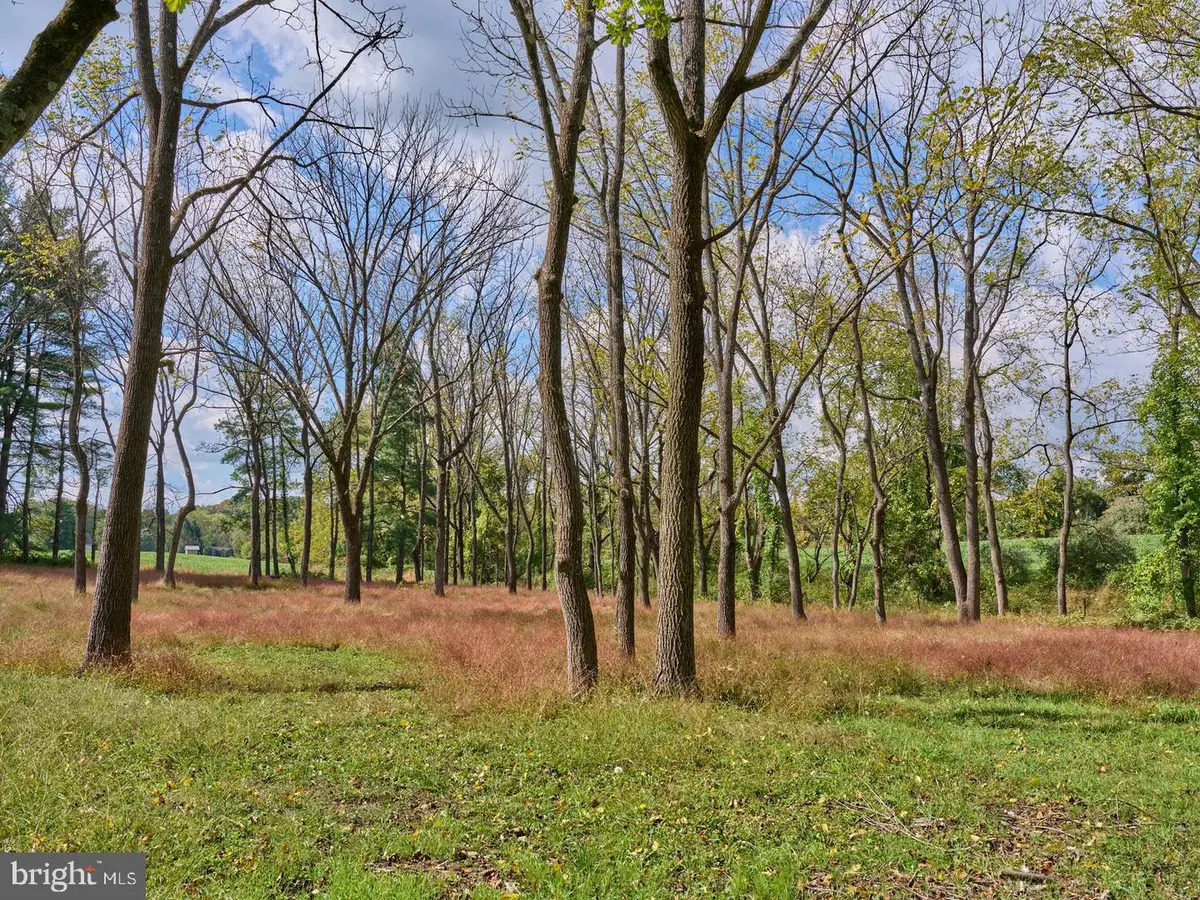 6321 Saw Mill Rd, Doylestown, PA 18902 - #1