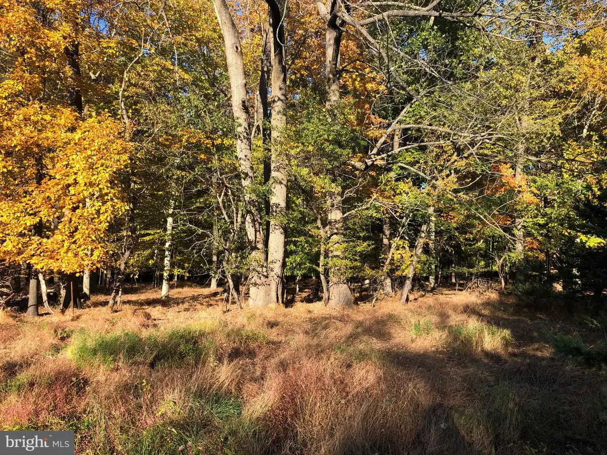 0 Lonely Cottage Rd, Upper Black Eddy, PA 18972 - #1