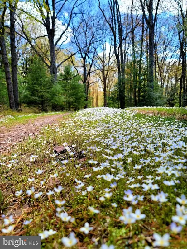 614 Graystones Jeras Rd Lot H-11, ALBRIGHTSVILLE, PA 18210