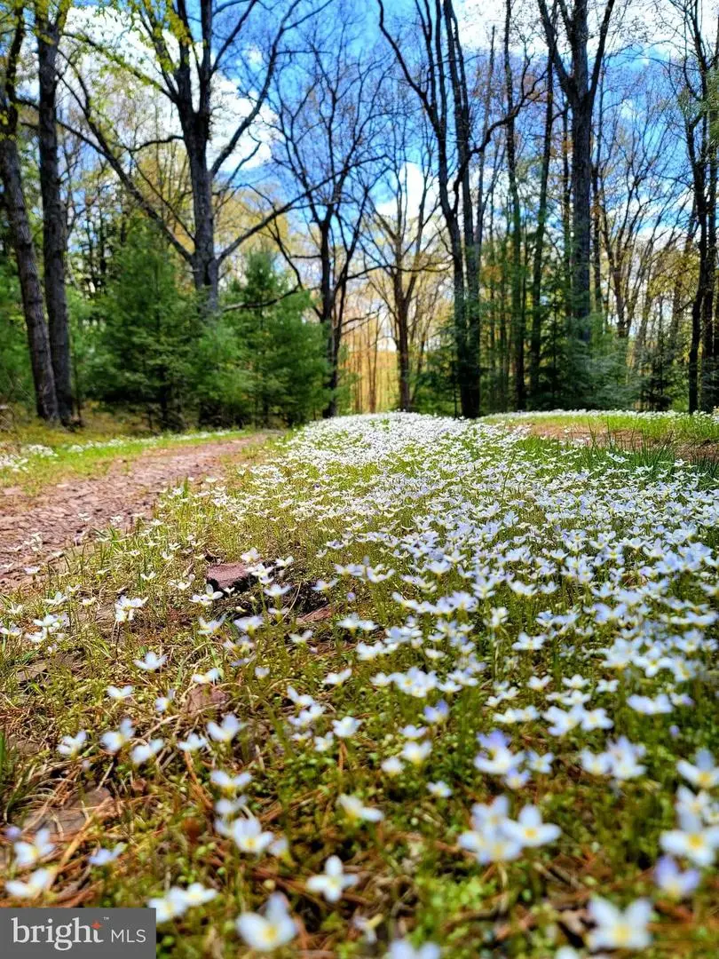 614 Graystones Jeras Rd Lot R-15, Albrightsville, PA 18210 - Image #1