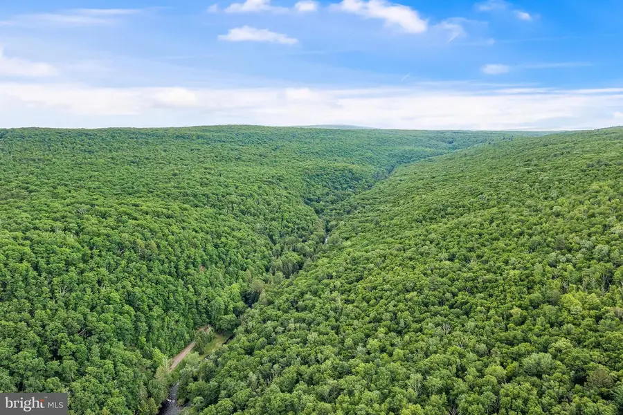 614 Graystones Jeras Rd Lot Sv-2, Albrightsville, PA 18210 - Image #3