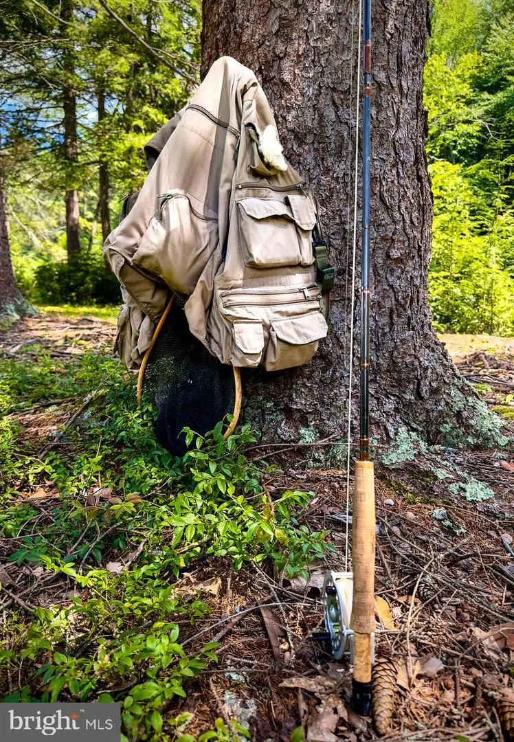 614 Graystones Jeras Rd Lot R-8, Albrightsville, PA 18210 - Image #3