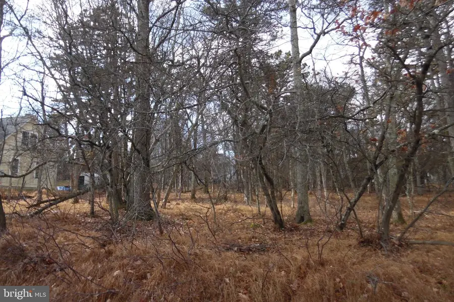 Lot D1922 Old Stage Rd, Albrightsville, PA 18210 - Image #3