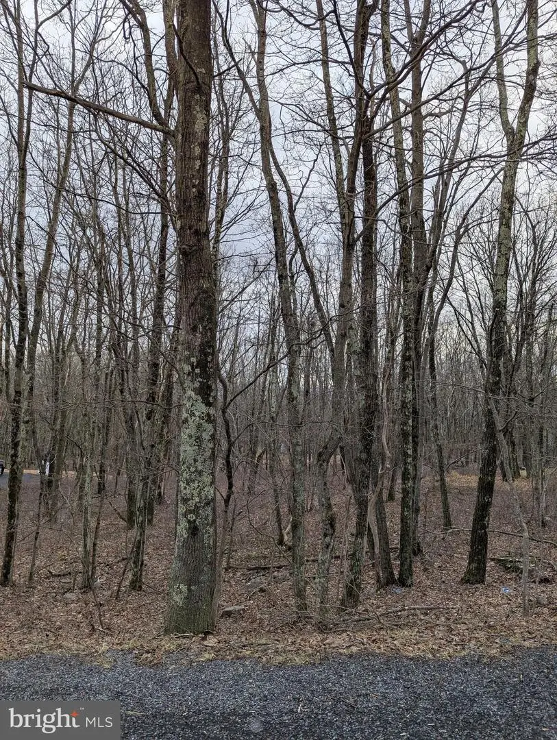 0 Seneca Rd, Albrightsville, PA 18210 - #1