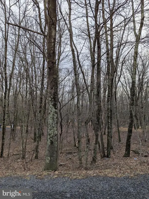 0 Seneca Rd, ALBRIGHTSVILLE, PA 18210