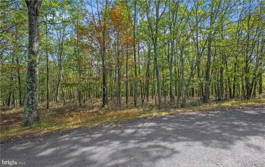 0 Stone Ridge Rd, Albrightsville, PA 18210 - #2