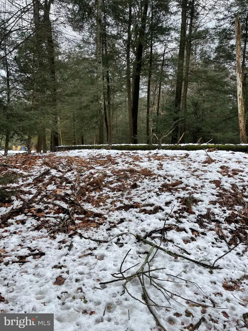 166 Lakeside Ln, Albrightsville, PA 18210 - #1