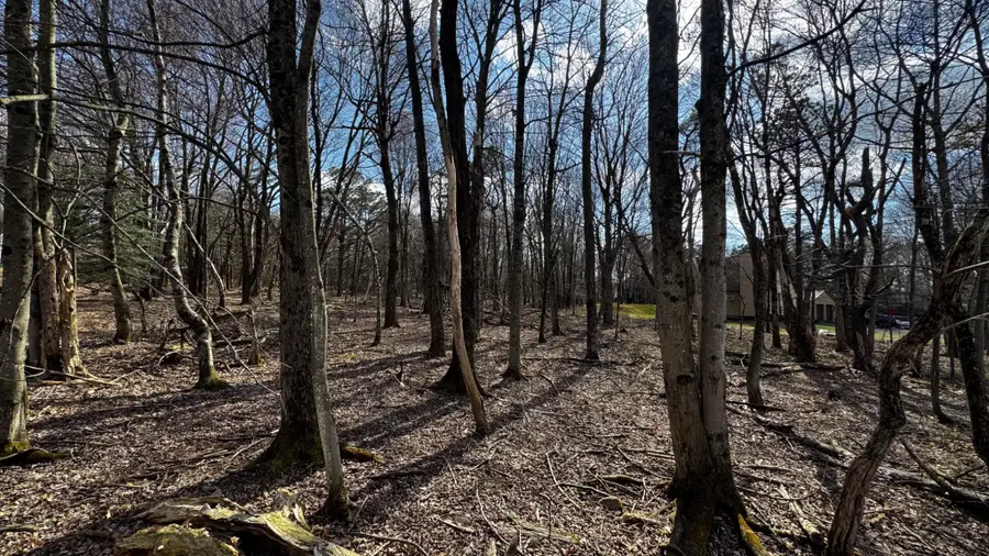 0 Stony Mountain, Albrightsville, PA 18210 - #2