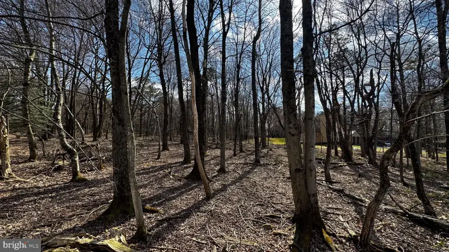 0 Stony Mountain, Albrightsville, PA 18210 - #3