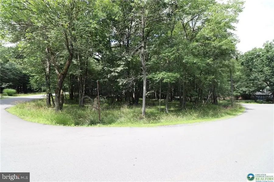 Long Brook Way & Woodland Rd, Albrightsville, PA 18210 - #2