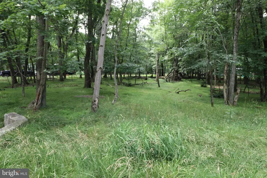 Long Brook Way & Woodland Rd, Albrightsville, PA 18210 - #3