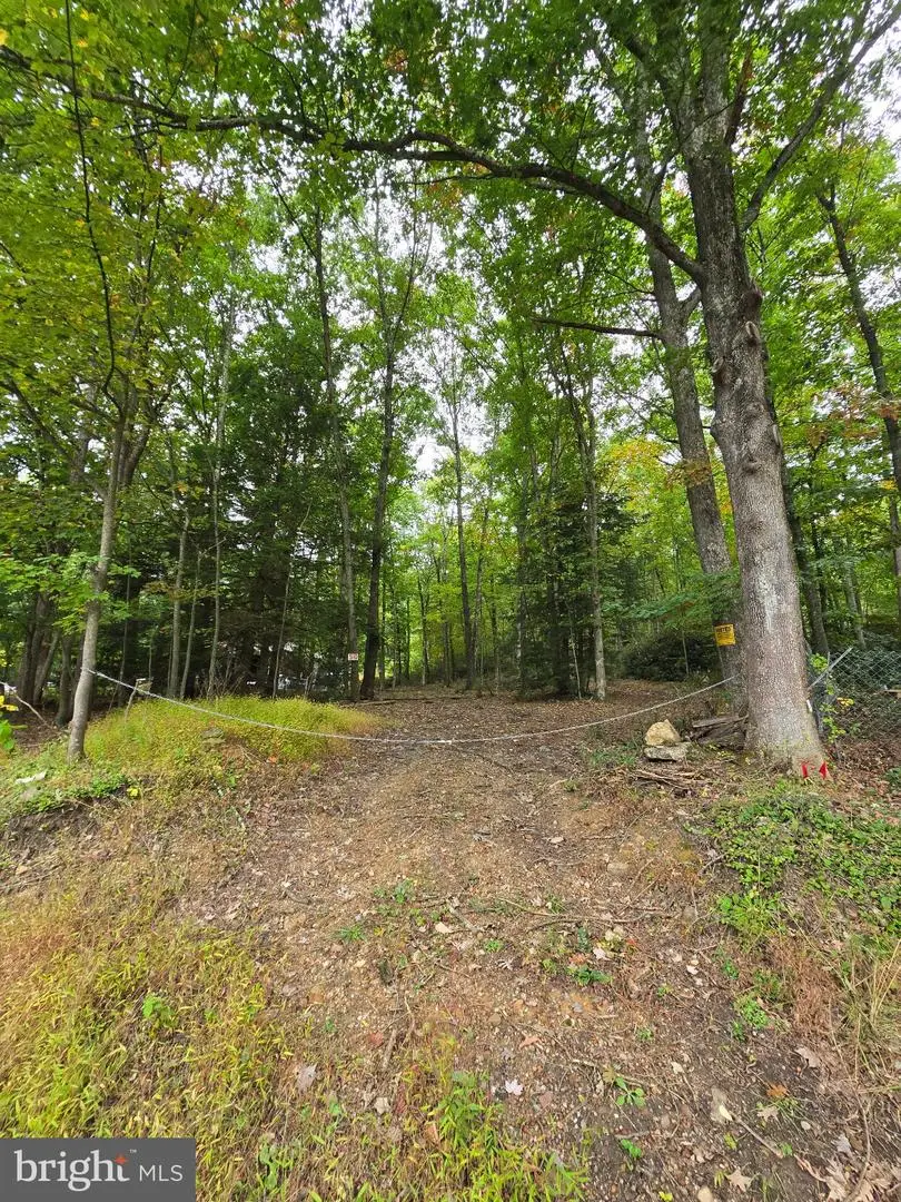 510 W White Bear Dr, Summit Hill, PA 18250 - #2