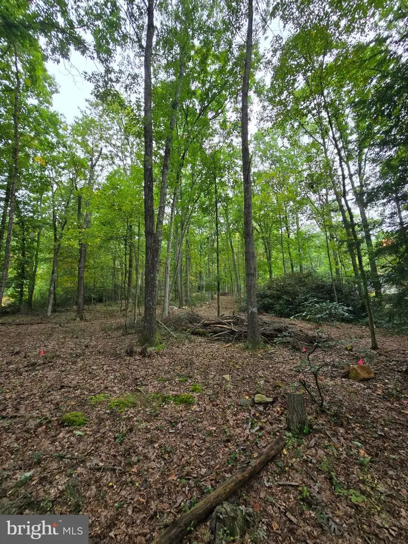 510 W White Bear Dr, Summit Hill, PA 18250 - #3