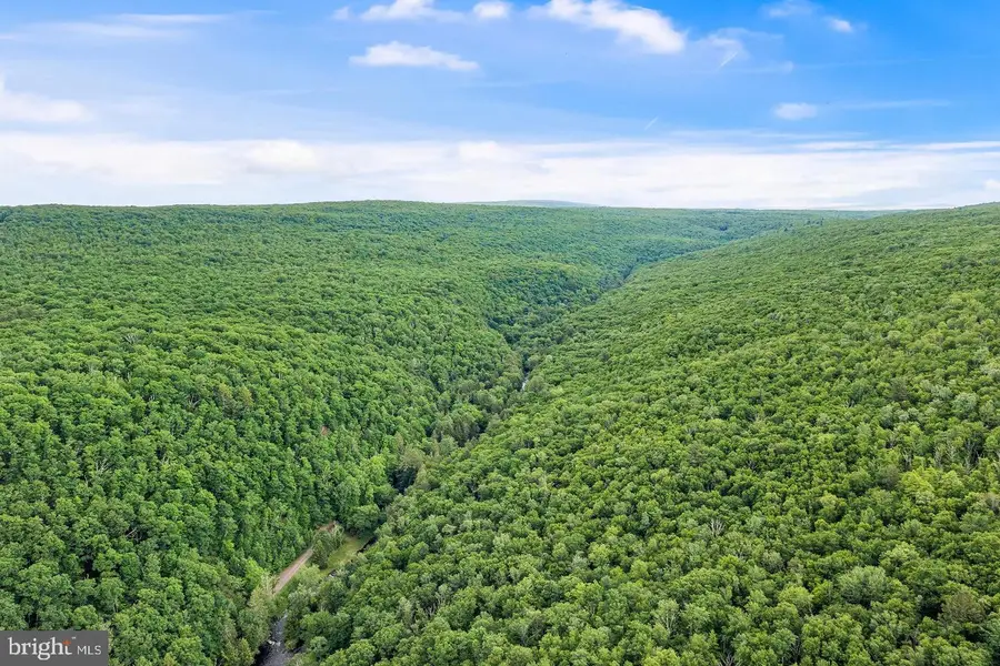 614 Graystones Jeras Rd Lot S-8, Albrightsville, PA 18210 - #3
