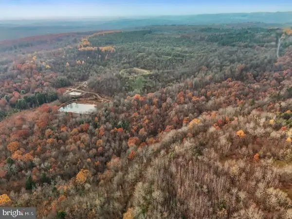 Baughman Cemetery Rd, Osceola Mills, PA 16666 - Image #2