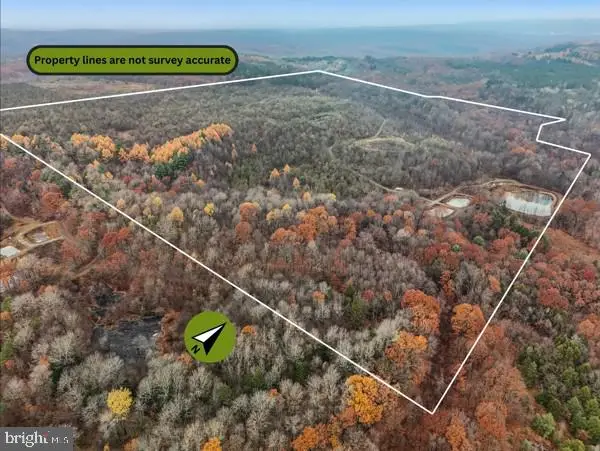 Baughman Cemetery Rd, Osceola Mills, PA 16666 - Image #3