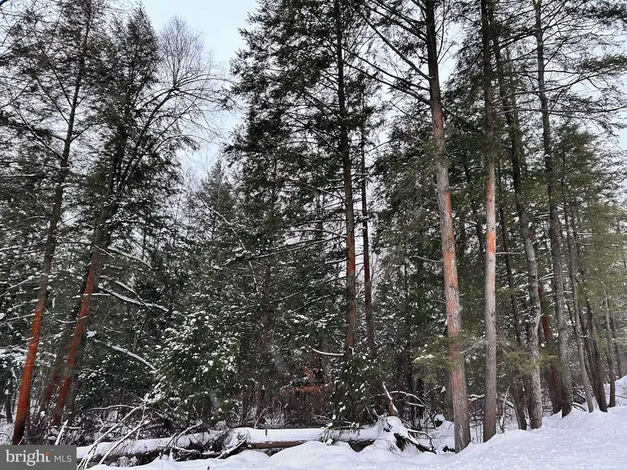 Tabernacle Rd, Curwensville, PA 16833 - #2