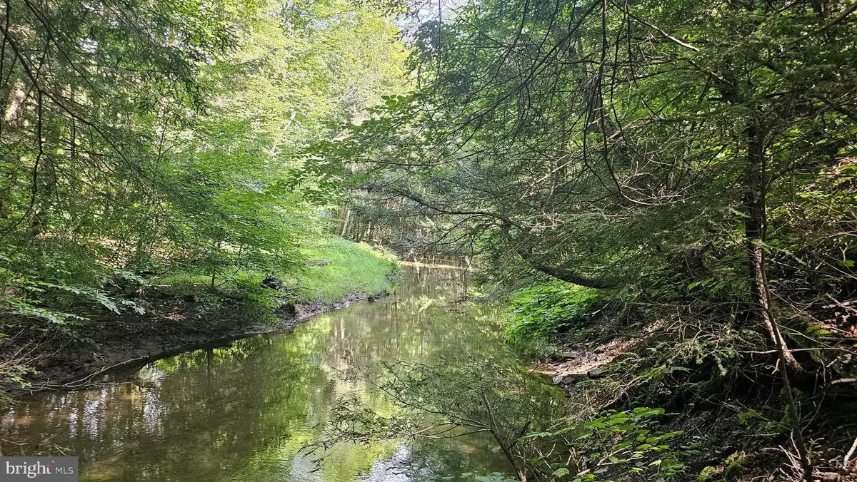 161.22 Acres Mahaffey Grampian Hwy, Mahaffey, PA 15757 - #1