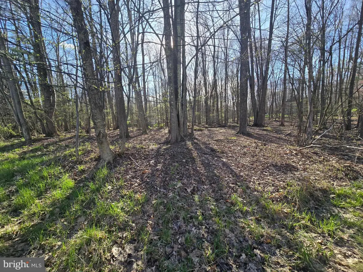 55 Smugglers Rd, Du Bois, PA 15801 - #1