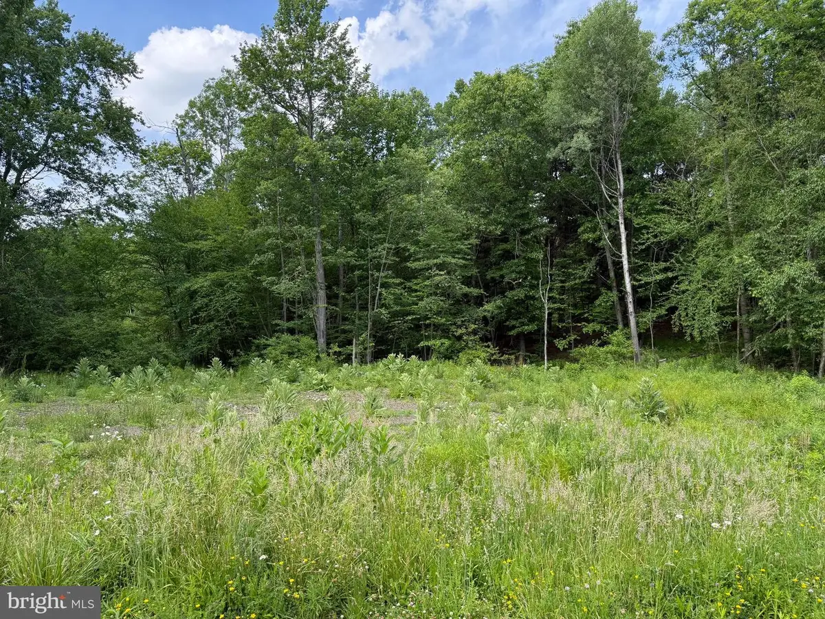 0 Frog Hollow Rd, Philipsburg, PA 16866 - #1