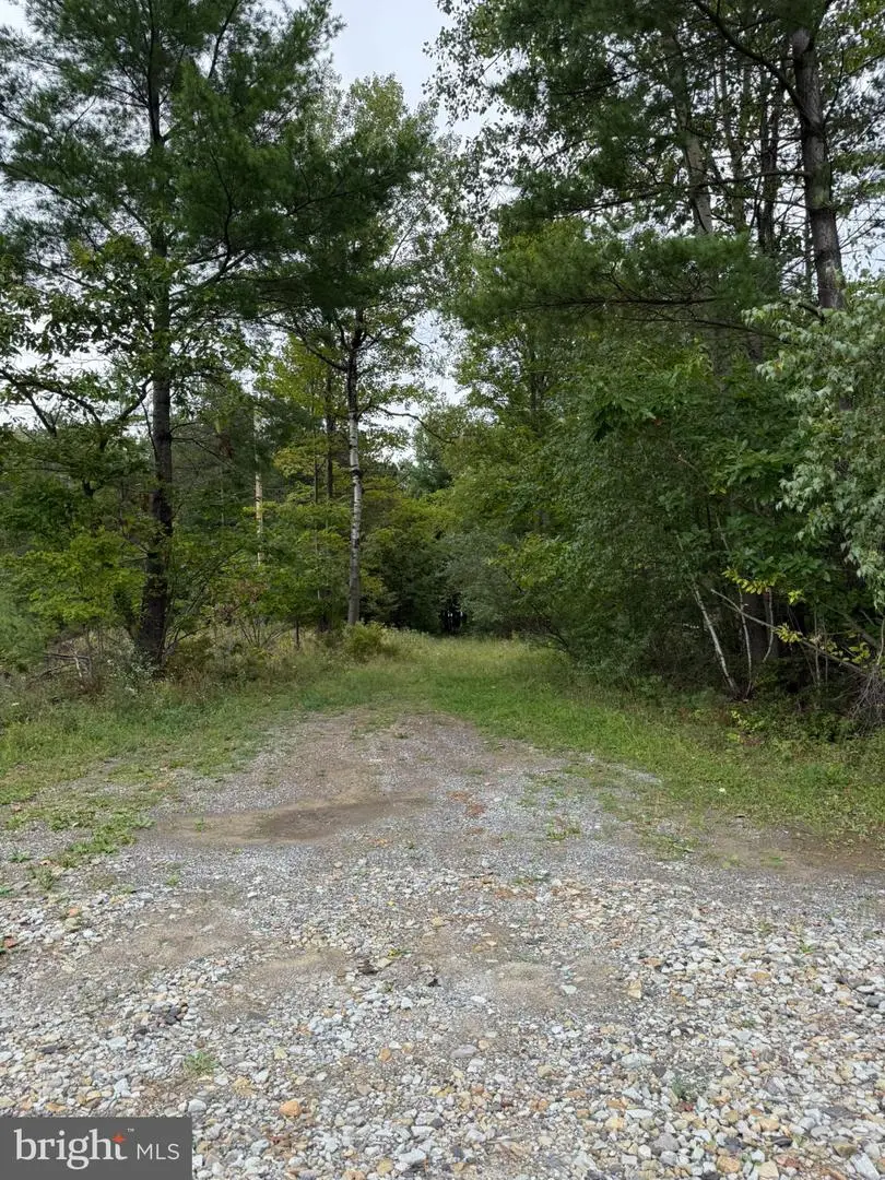 0 Old Orchard Ln, Allport, PA 16821 - #3