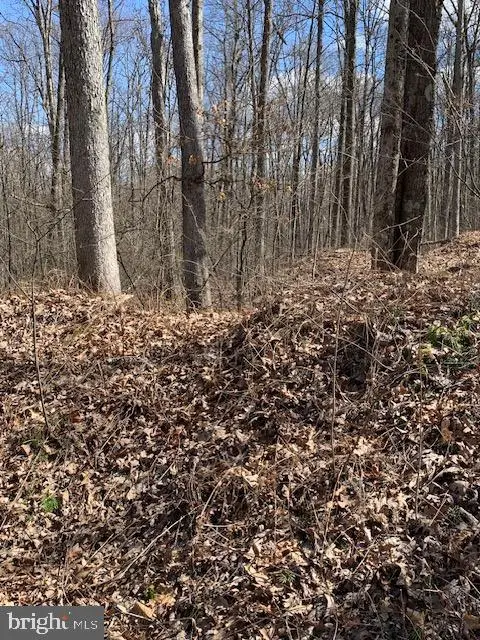 #3