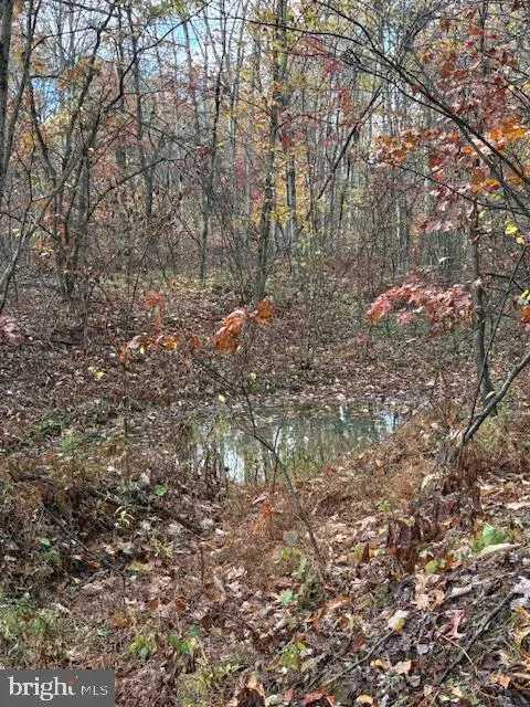0 Little Wolf Rd, Clarence, PA 16829 - #3