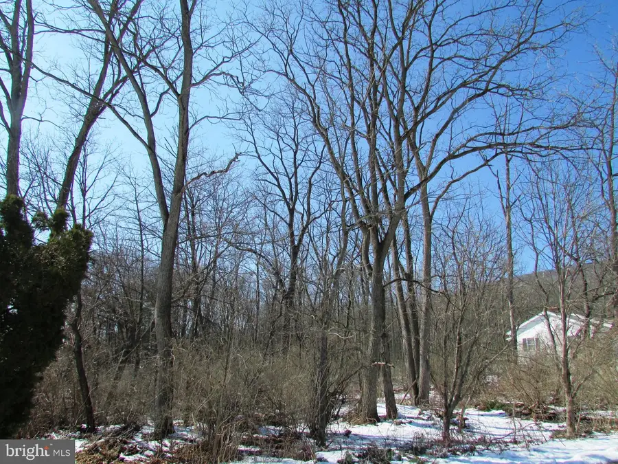 Lot On Emery Rd, Centre Hall, PA 16828 - #2