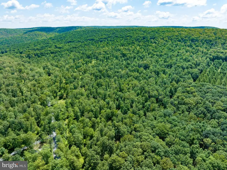 Lot 1 On Decker Valley Rd, Spring Mills, PA 16875 - #2
