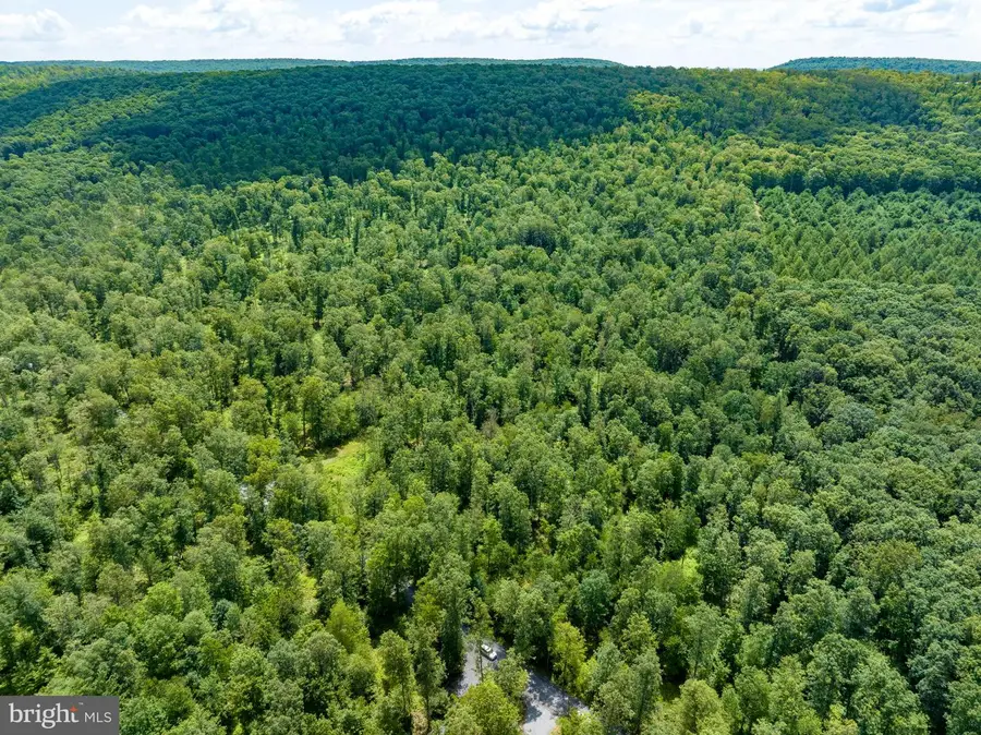 Lot 11 On Decker Valley Rd, Spring Mills, PA 16875 - #3