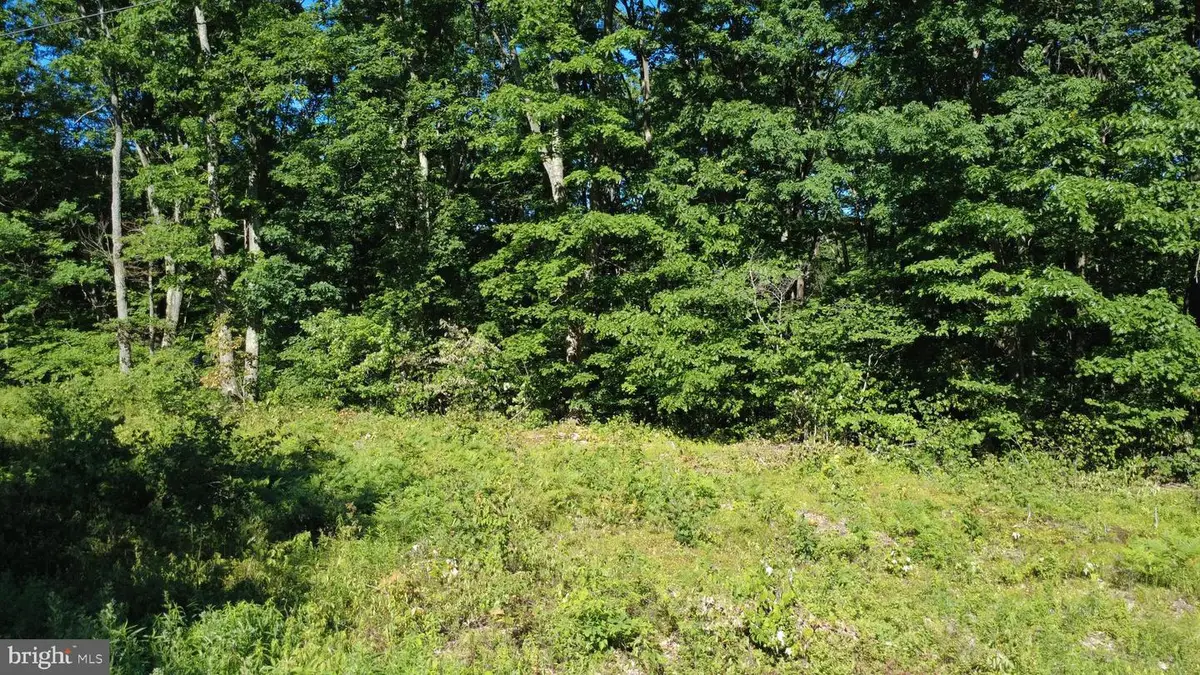0 Maplewood Dr, Philipsburg, PA 16866 - #1